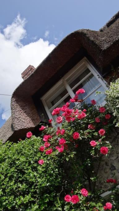 Little Thatch Cottage - Cerne Abbas, Dorset المظهر الخارجي الصورة