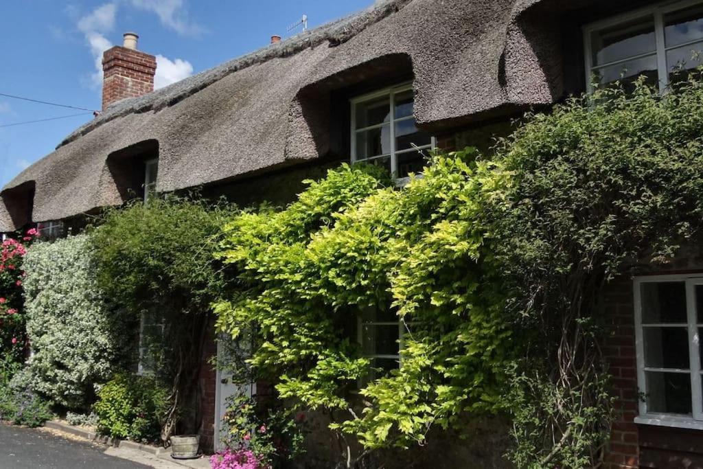 Little Thatch Cottage - Cerne Abbas, Dorset المظهر الخارجي الصورة